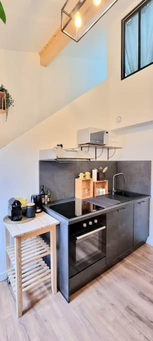 Le Duplex Catherine - Metro - Gare - Wifi 툴루즈 외부 사진