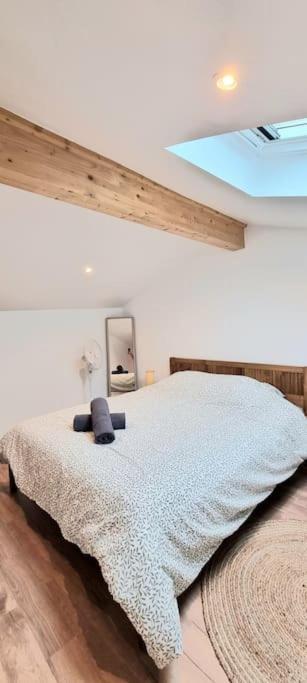 Le Duplex Catherine - Metro - Gare - Wifi 툴루즈 외부 사진