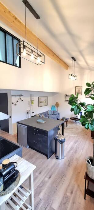 Le Duplex Catherine - Metro - Gare - Wifi 툴루즈 외부 사진